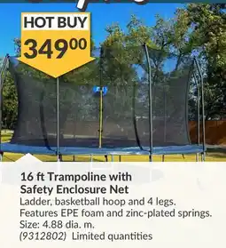 Princess Auto 16 ft Trampoline with Safety Enclosure offer