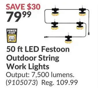 Princess Auto 50 ft LED Festoon Outdoor String Work Lights offer