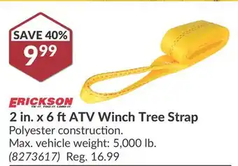 Princess Auto 2 in. x 6 ft ATV Winch Tree Strap offer