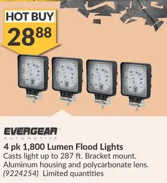 Princess Auto 4 pk 1, 800 Lumen Flood Lights offer