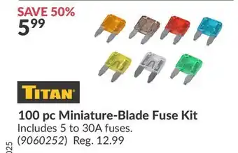 Princess Auto 100 pc Miniature-Blade Fuse Kit offer