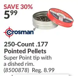 Princess Auto 250-Count. 177 Pointed Pellets offer