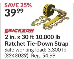 Princess Auto 10, 000 lb Ratchet Tie-Down Strap offer