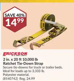 Princess Auto 2 20 10, 000 lb Ratchet Tie-Down Strap offer