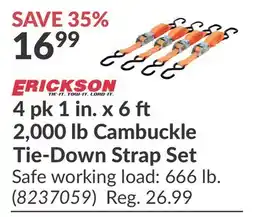 Princess Auto Cambuckle Tie-Down Strap Set offer