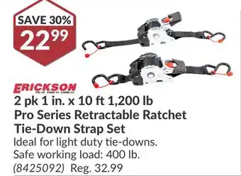 Princess Auto 2 pk 1 in. x 10 ft1,200 lb Pro Series Retractable Ratchet Tie-Down Strap Set offer