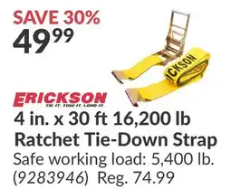 Princess Auto 16, 200 lb Ratchet Tie-Down Strap offer