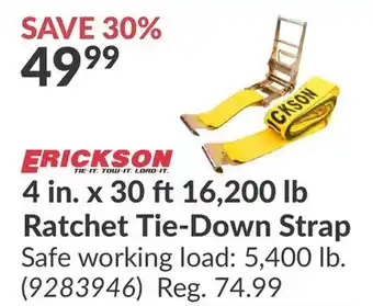 Princess Auto 16, 200 lb Ratchet Tie-Down Strap offer