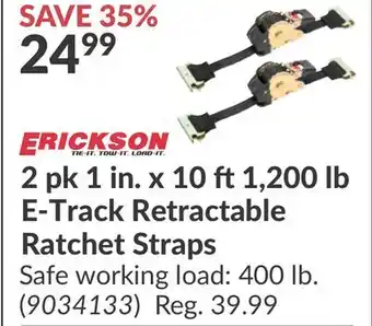 Princess Auto 2 pk 1 in. x 10 ft1,200 lb E-Track Retractable Ratchet Straps offer