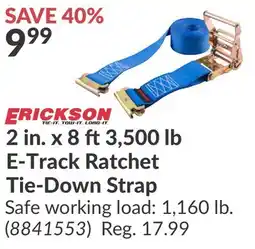 Princess Auto 2 in. x 8 ft3,500 lb E-Track Ratchet Tie-Down Strap offer