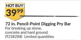 Princess Auto 72 in. Pencil-Point Digging Pry Bar offer