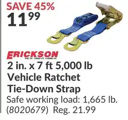 Princess Auto 2 in. 7 ft 5, 000 lb Vehicle Ratchet Tie-Down Strap offer