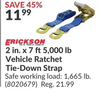 Princess Auto 2 in. 7 ft 5, 000 lb Vehicle Ratchet Tie-Down Strap offer