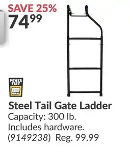 Princess Auto Steel Tail Gate Ladder offer