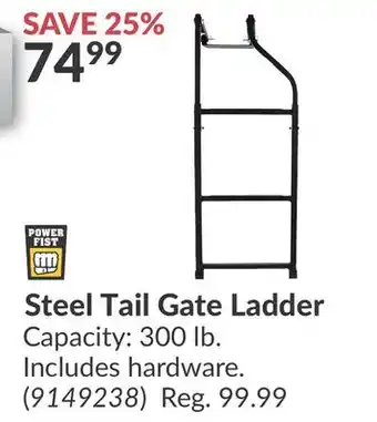 Princess Auto Steel Tail Gate Ladder offer