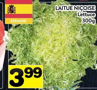 Supermarché PA LAITUE NIÇOISE | Lettuce offer