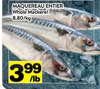 Supermarché PA MAQUEREAU ENTIER | Whole Mackerel offer