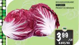 Marches Tau RADICCHIO BIOLOGIQUE offer