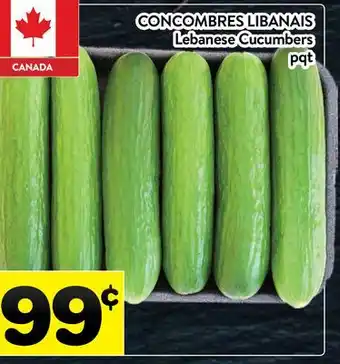 Supermarché PA CONCOMBRES LIBANAIS | Lebanese Cucumbers offer