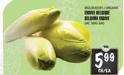 Marches Tau ENDIVE BELGIQUE BIOLOGIQUES offer