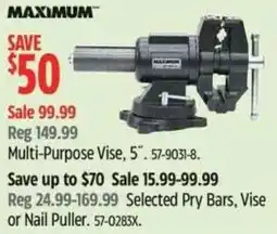 Canadian Tire Maximum Multi-Purpose Vise offer