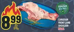 Marché Adonis CANADIAN FRONT LAMB SHOULDER HALAL offer