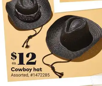 Giant Tiger Cowboy hat offer