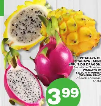 IGA PITAHAYA OU PITAHAYA JAUNE (FRUIT DU DRAGON) offer