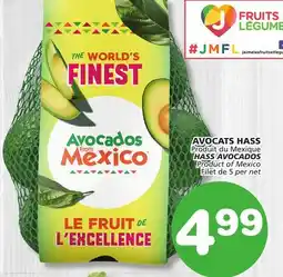 IGA AVOCATS HASS offer