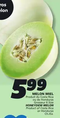 IGA HONEYDEW MELON offer