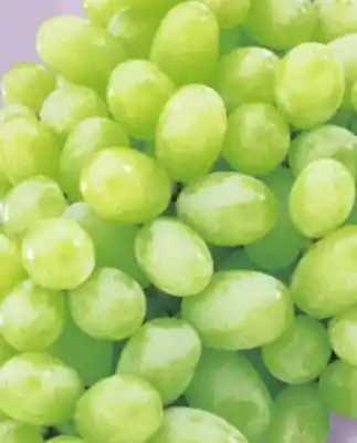 IGA SEEDLESS GREEN GRAPES offer