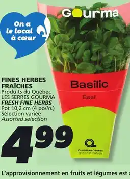 IGA FRESH FINE HERBS offer