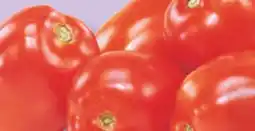 IGA ROMA ITALIAN TOMATOES offer