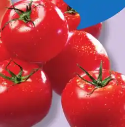 IGA GREENHOUSE RED TOMATOES offer