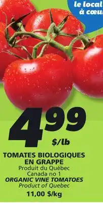 IGA ORGANIC VINE TOMATOES offer