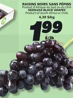 IGA SEEDLESS BLACK GRAPES offer