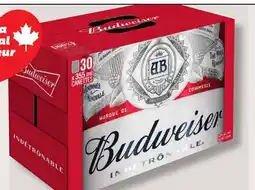 IGA BUDWEISER BEER offer