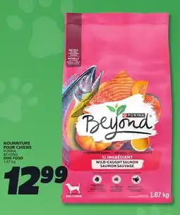 IGA PURINA BEYOND DOG FOOD offer