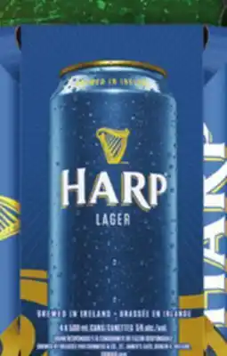 IGA HARP BEER offer