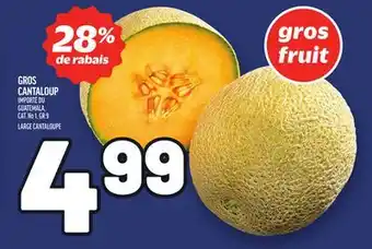 Metro GROS CANTALOUP | LARGE CANTALOUPE offer