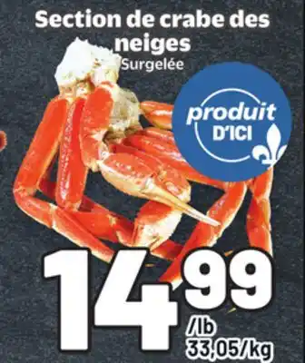 Metro SECTION DE CRABE DES NEIGES offer