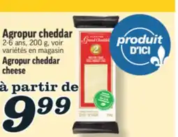 Marché Richelieu CHEDDAR AGROPUR | AGROPUR CHEDDAR CHEESE offer