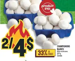 Marché Adonis CHAMPIGNONS BLANCS | White mushrooms offer