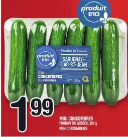 Marche Ami MINI CONCOMBRES | MINI CUCUMBERS offer