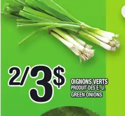 Marche Ami GREEN ONIONS | GREEN ONIONS offer