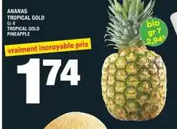 Super C ANANAS TROPICAL GOLD | TROPICAL GOLD PINEAPPLE offer