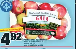 Super C POMMES GALA OU AMRBIOSA | GALA OR AMBRIOSA APPLES offer