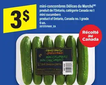 Maxi MINI-CONCOMBRES DÉLICES DU MARCHÉ | MINI CUCUMBERS, 6 un offer