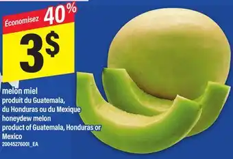 Maxi MELON MIEL | HONEYDEW MELON offer