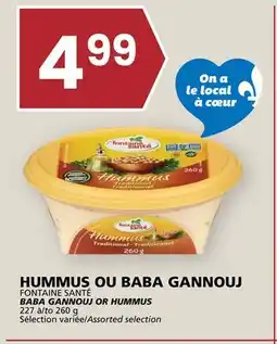 Rachelle-Bery Grocery FONTAINE SANTÉ BABA GANNOUJ OR HUMMUS offer